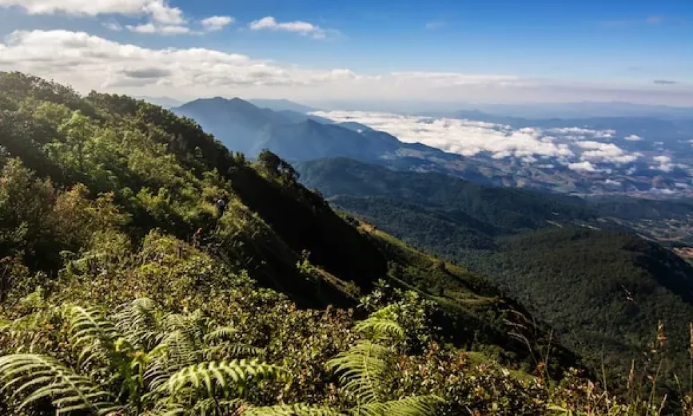 doi-inthanon-national-park-top-h