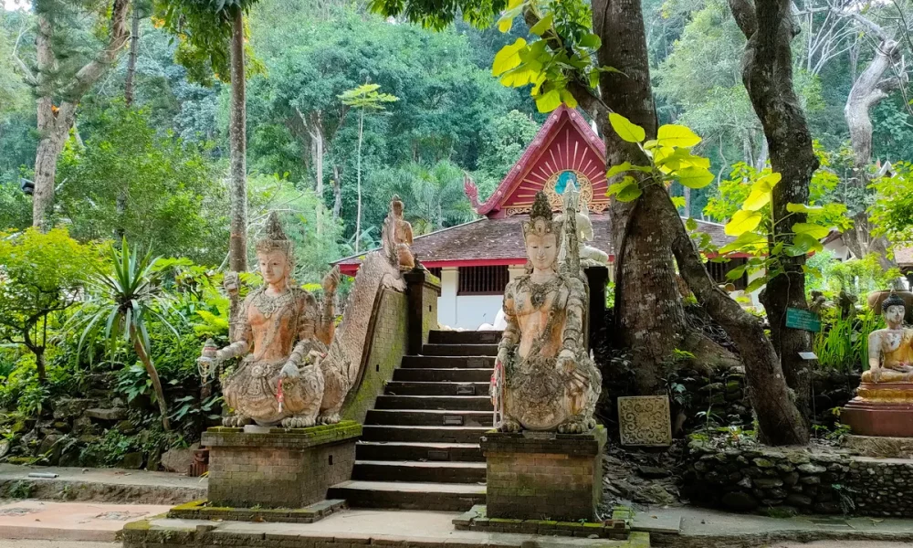 wat-pha-lat126
